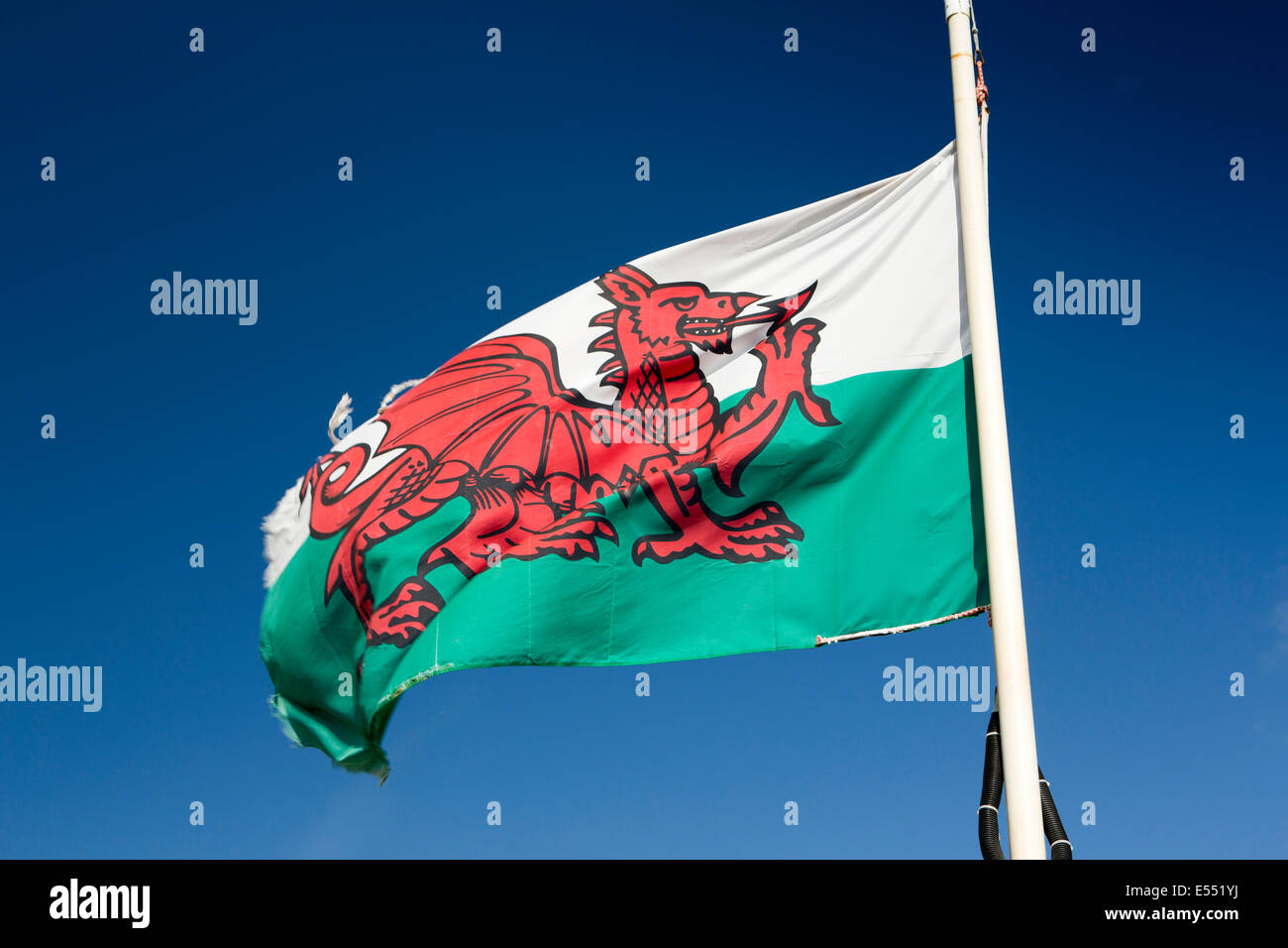 England, Wales, Gwynedd, Lleyn Halbinsel, Aberdaron, Welsh National Flagge im Wind Stockfoto