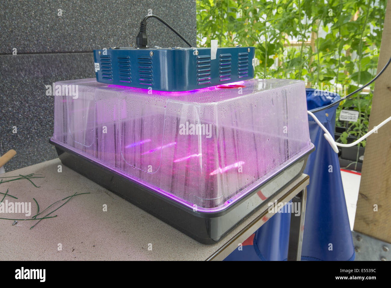 Kunststoff-Verbreiter mit LED-Leuchten, Todmorden, West Yorkshire, England, April Stockfoto