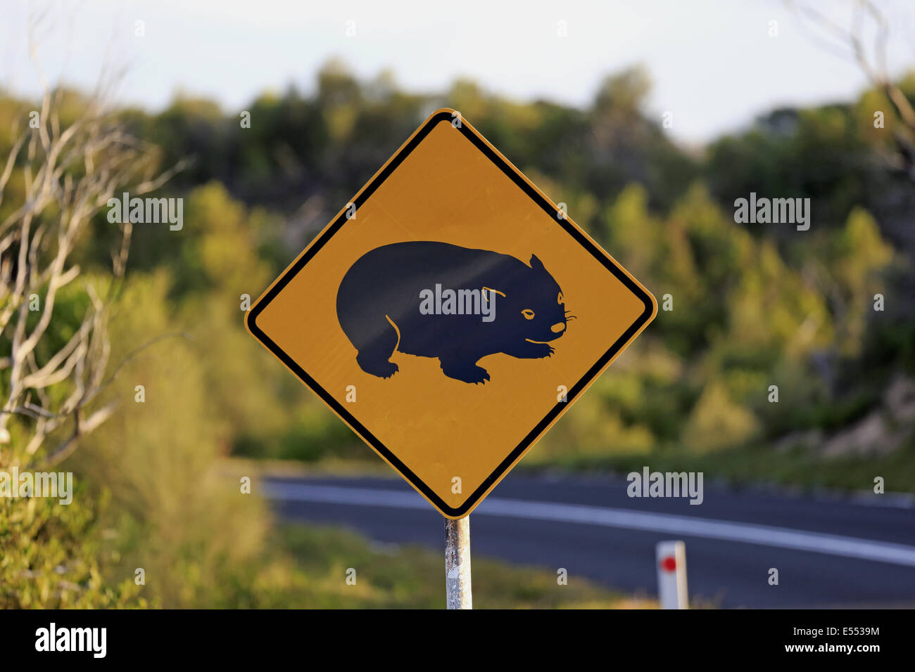 Wombat Kreuzung Verkehrszeichen, Wilsons Promontory Nationalpark, Victoria, Australien, November Stockfoto