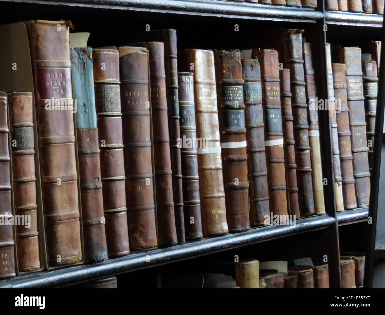 Bücher IN der LONG ROOM Bibliothek, Trinity College, Dublin, Foto Tony Gale Stockfoto