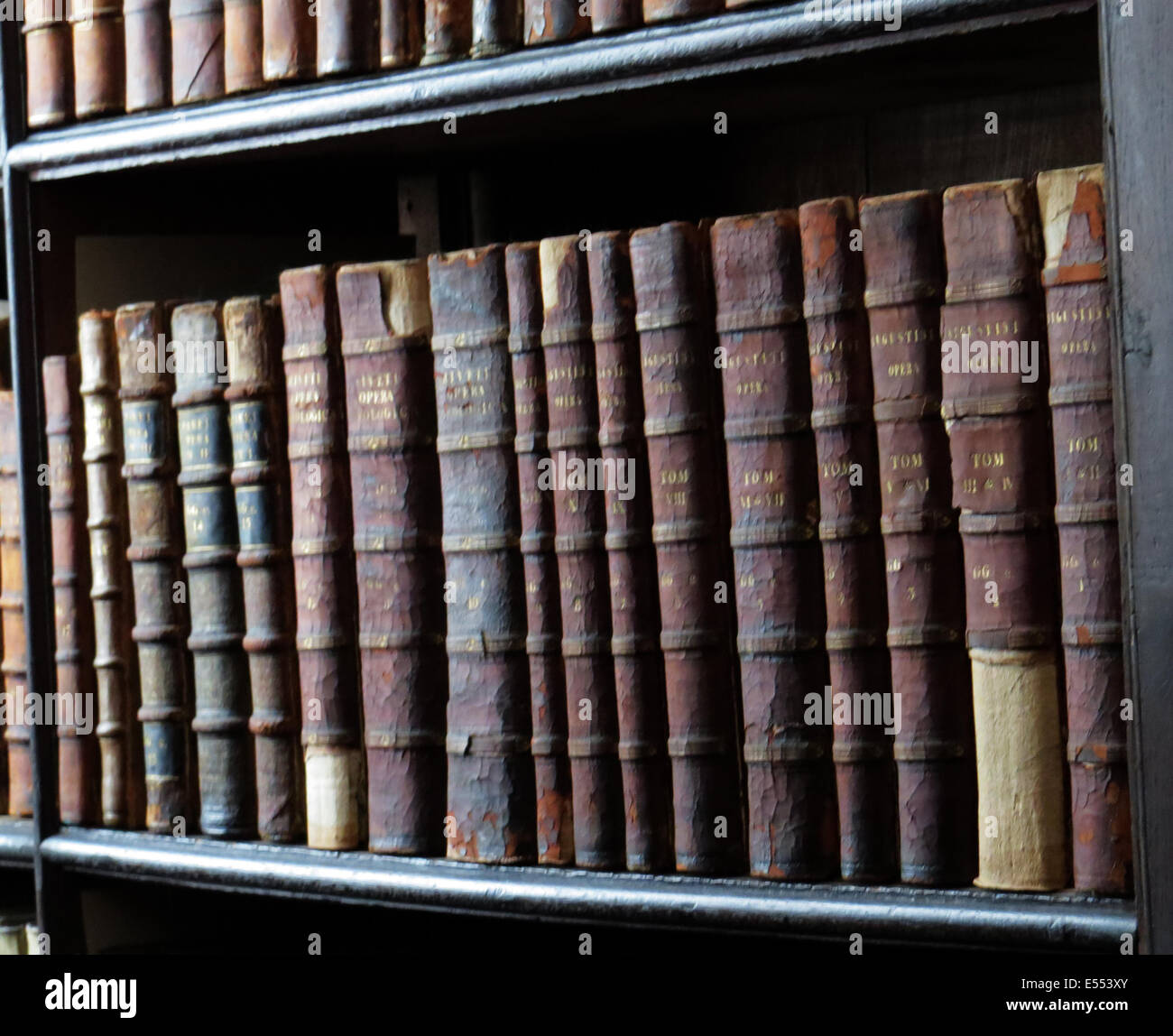 Bücher IN der LONG ROOM Bibliothek, Trinity College, Dublin, Foto Tony Gale Stockfoto