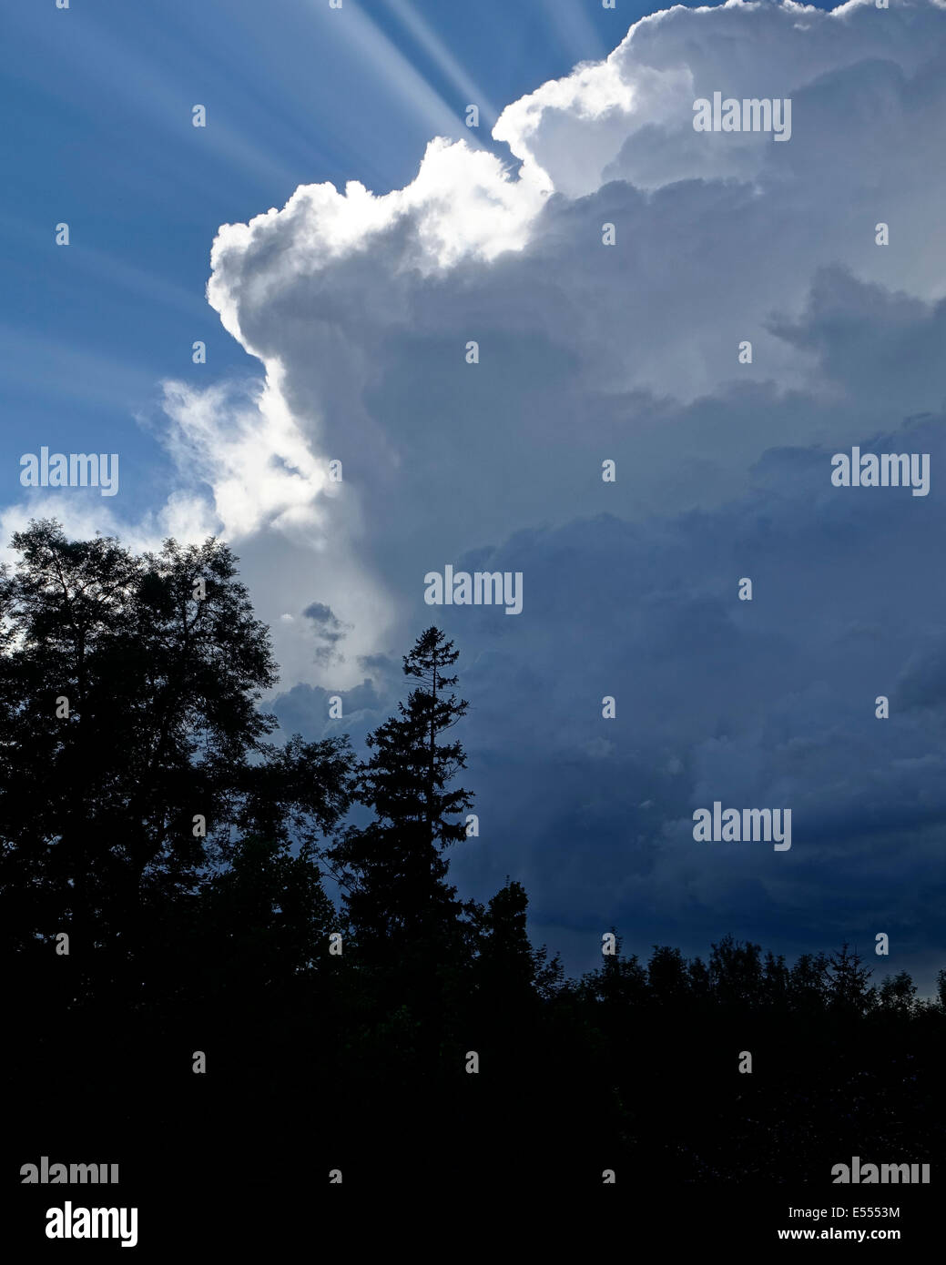 Natur: Sturm naht Stockfoto