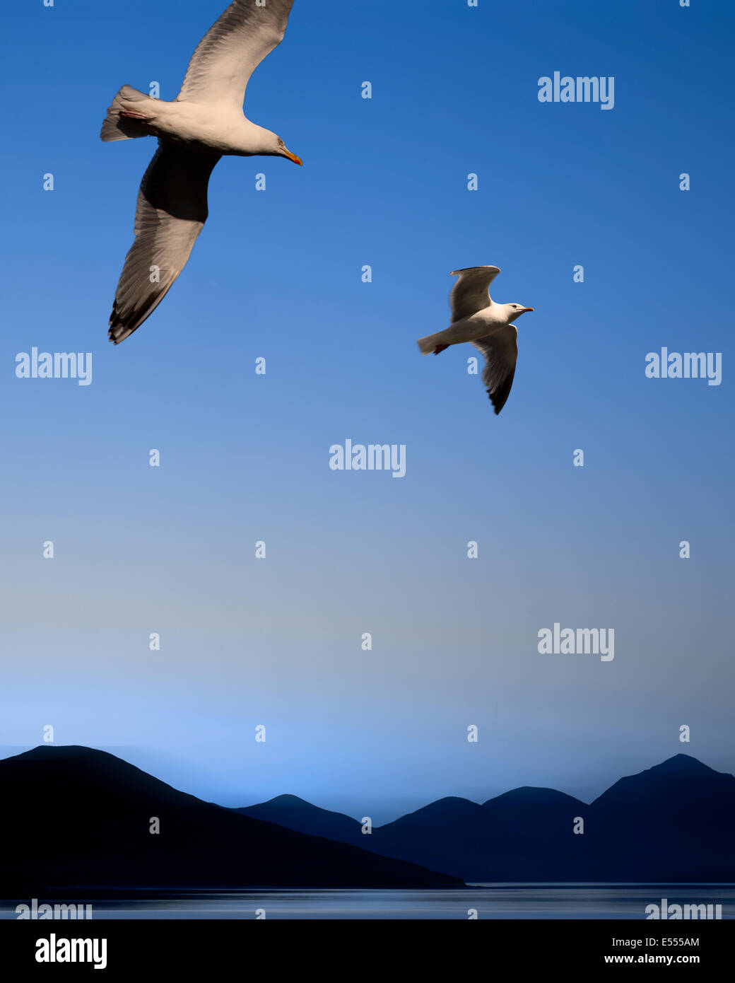 DIGITALE Kunst: Die Vögel (Hintergrund z., äußeren Hebriden Schottlands) Stockfoto