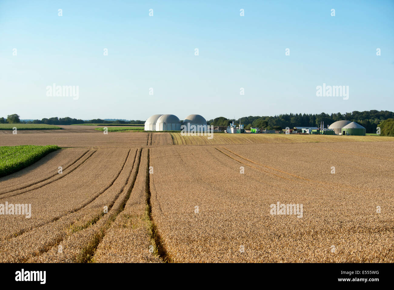 Biogas-Anlage in Deutschland, Hessen Stockfoto