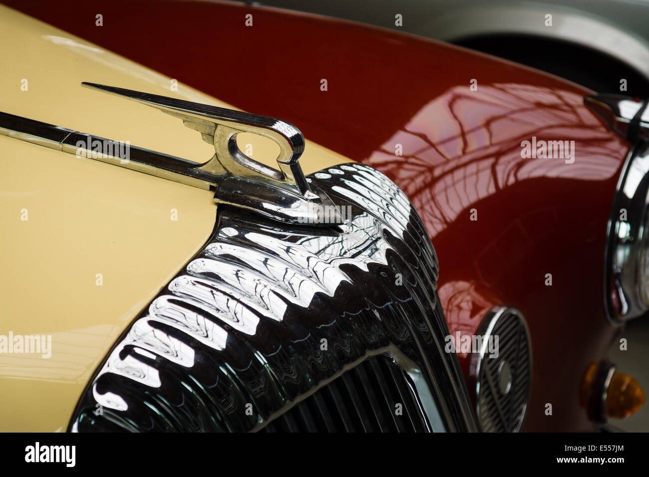 Hood Ornament von der Luxus-Auto Daimler Majestic Major V8 (1965). 27. Oldtimer-Tage Berlin - Brandenburg Stockfoto