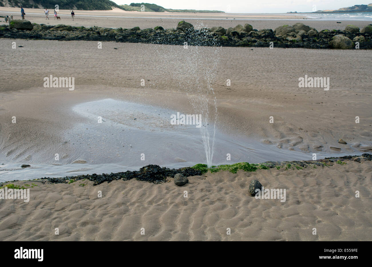 Ein undichtes Abflussrohr sprühen Schmutzwasser auf einem Strand. Stockfoto