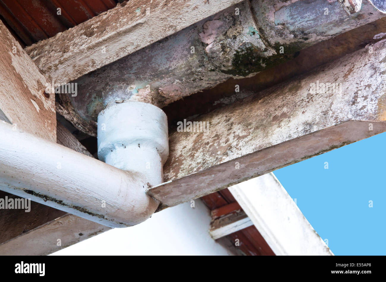 Nahaufnahme von Abplatzungen Asbest Dachrinnen brauchen Wartung Stockfoto