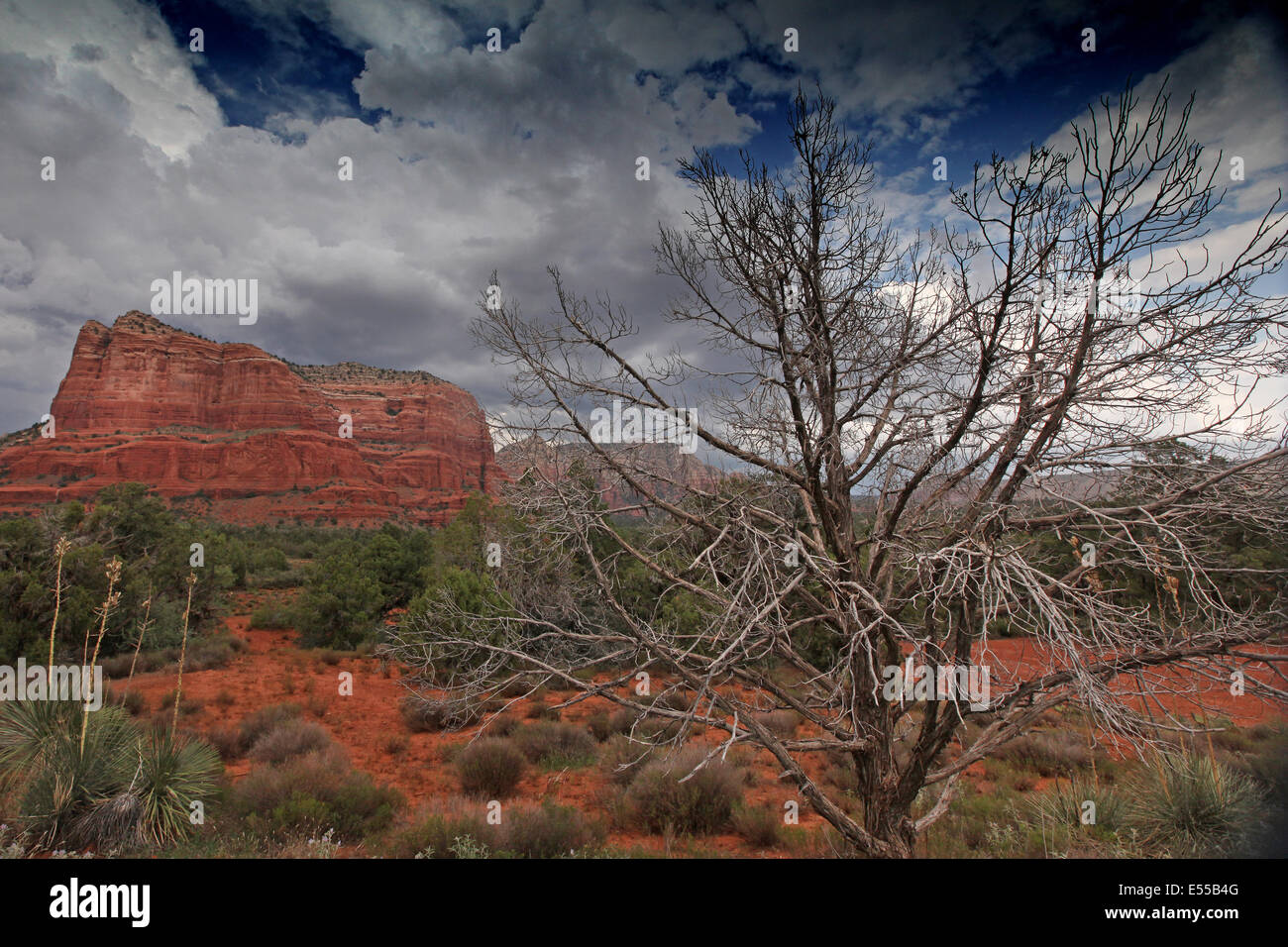 Roten Felsen bei Sedona, Vereinigte Staaten von Amerika, wunderschöne Natur Stockfoto