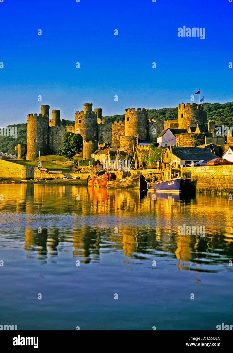 Blick auf das Conwy Castle auf dem Fluss Conwy, Wales, Vereinigtes Königreich Stockfoto