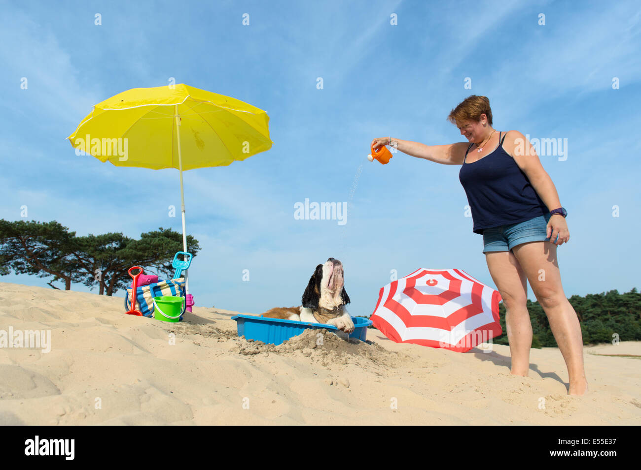 Lustiger Hund ist eine Kühlung unten mit Wasser und Sonnenschirm am Strand im Sommer Stockfoto