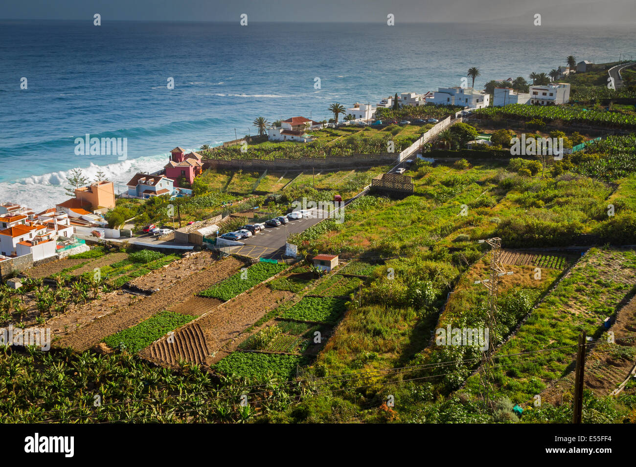 Gemüsegärten. Nordküste. Teneriffa, Kanarische Inseln, Atlantik, Spanien, Europa. Stockfoto
