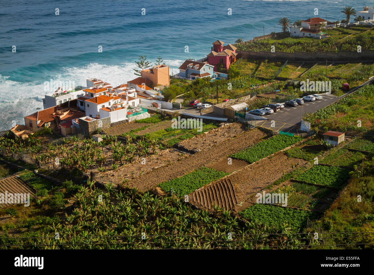 Gemüsegärten. Nordküste. Teneriffa, Kanarische Inseln, Atlantik, Spanien, Europa. Stockfoto