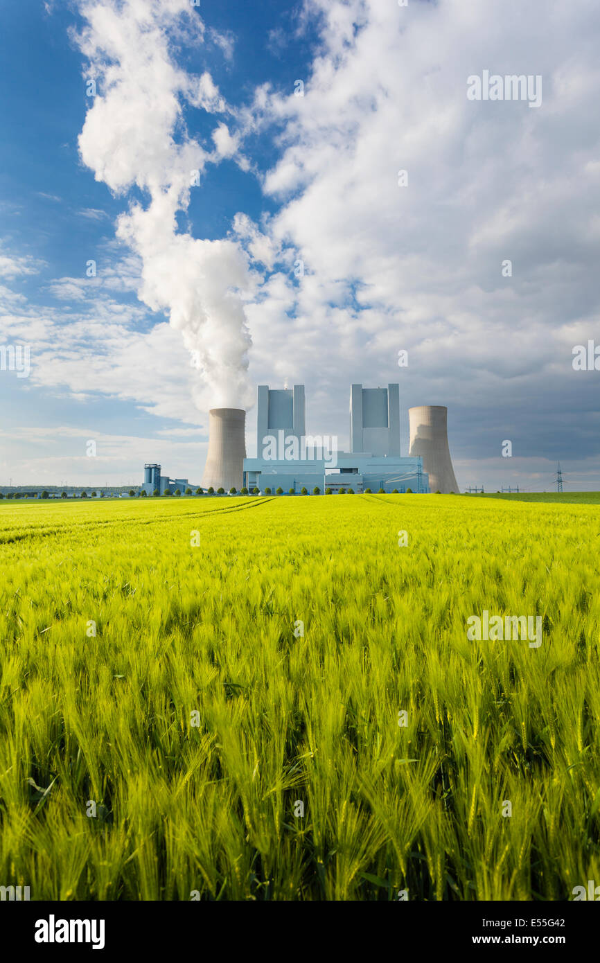 Ein glänzendes neues Braunkohle Kraftwerk hinter einem Roggenfeld Stockfoto