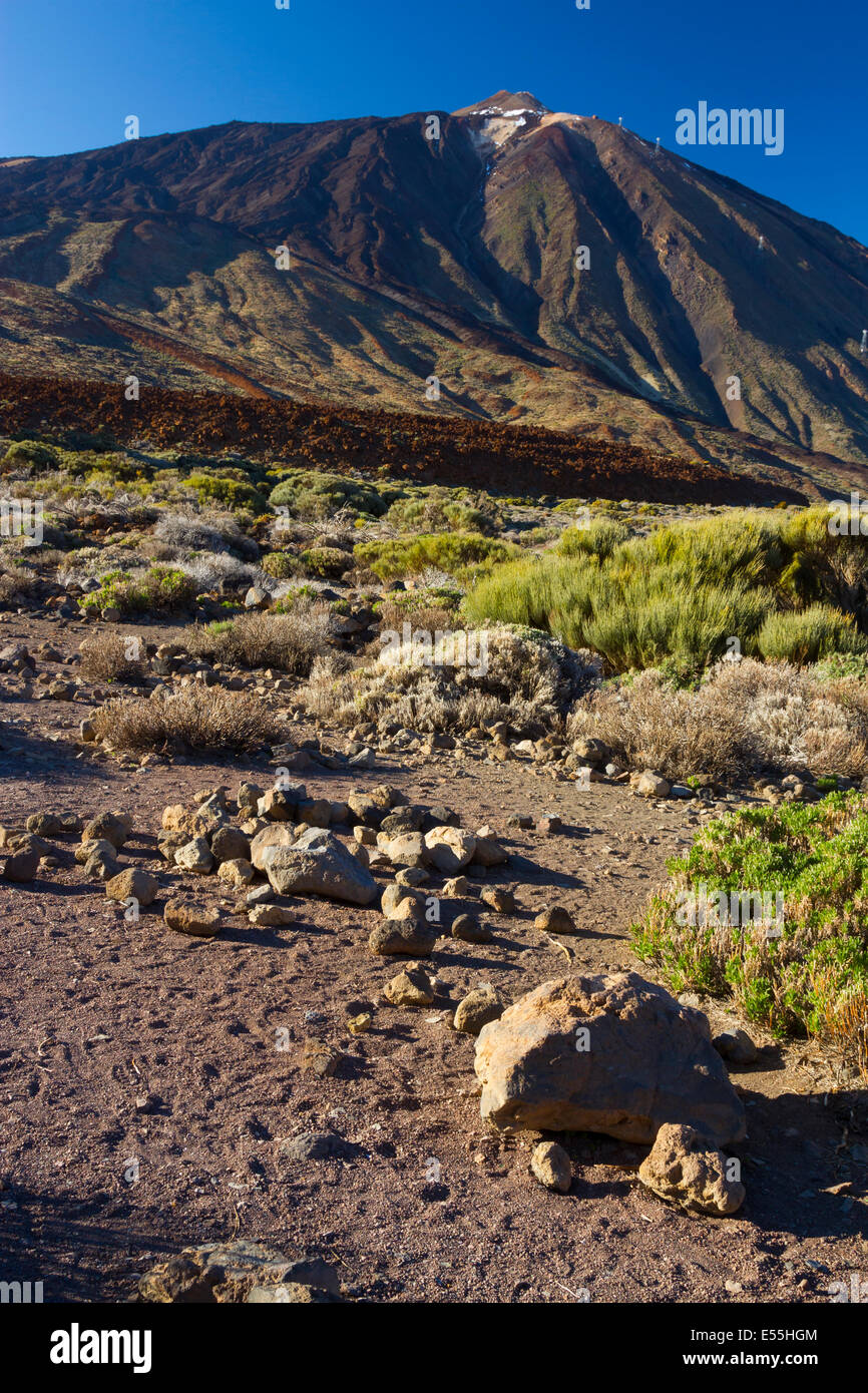Teide Vulkan und Lava Bildung. Teide-Nationalpark. La Orotava, Teneriffa, Kanarische Inseln, Atlantik, Spanien, Europa. Stockfoto