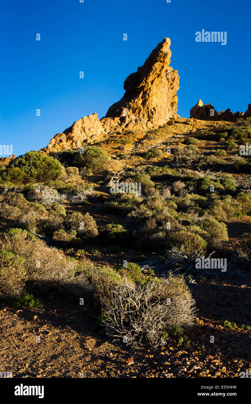 Felsformationen. Teide-Nationalpark. Teneriffa, Kanarische Inseln, Atlantik, Spanien, Europa. Stockfoto