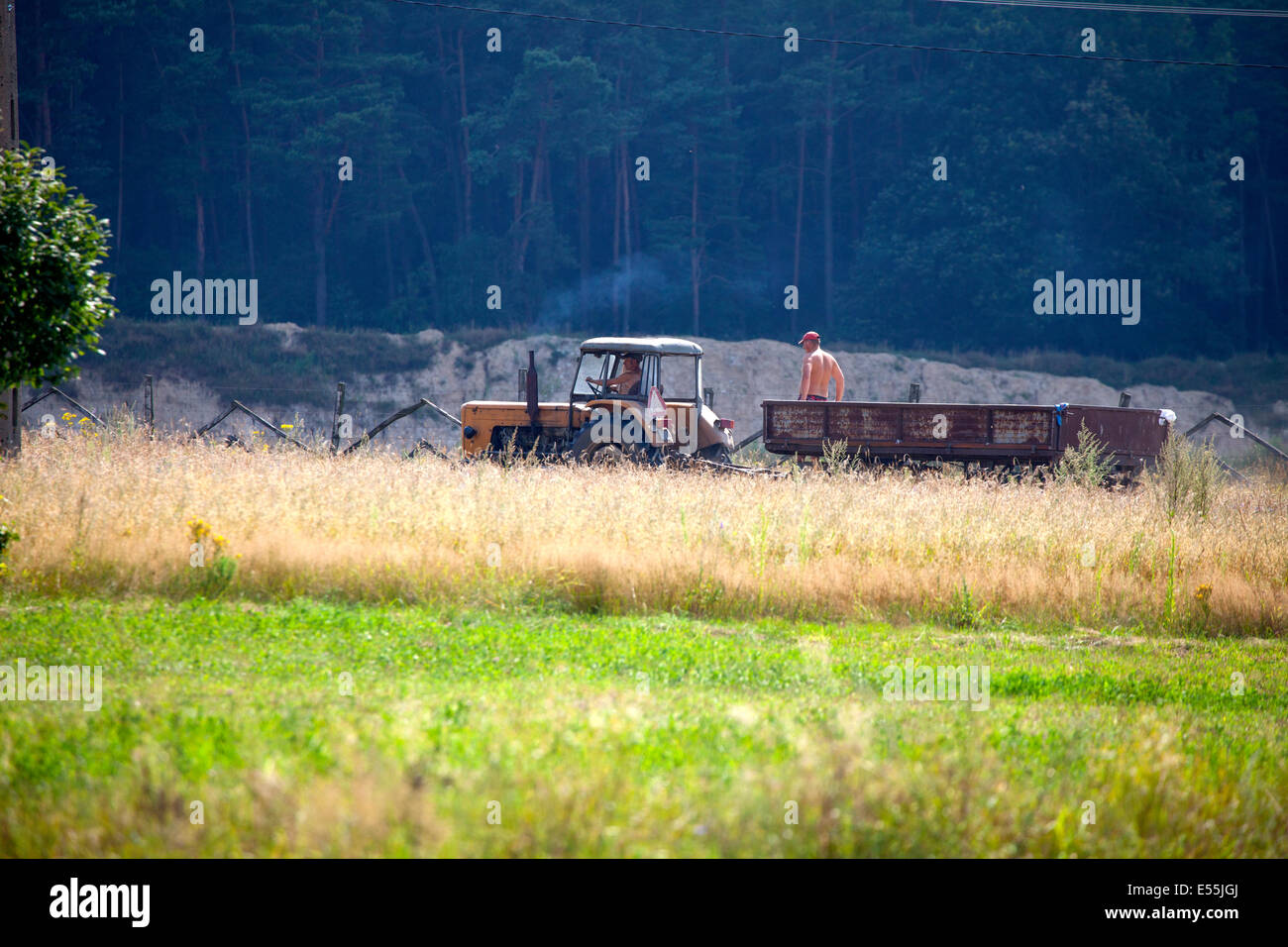 Polnische Bauern ziehen einen Wagen mit einem Traktor auf seinem Feld-Hof. Zawady Polen Stockfoto