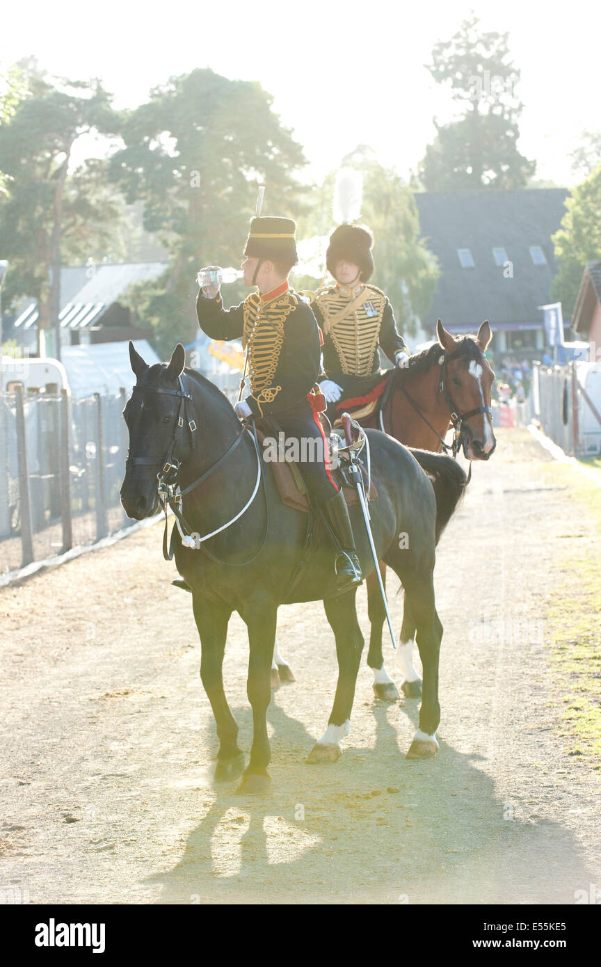 Llanelwedd, UK. 21. Juli 2014. Der Kopf des Königs Troop Royal Horse Artillery für The Main Ring, eine Anzeige zu geben. Eine Rekordzahl von mehr als 240.000 Besucher dürften diese Woche vier Tage lang von Europas größten Agrarmesse. Vieh-Klassen und Sonderpreise haben angezogen, 8.000 plus Einträge, 670 mehr als im Vorjahr. Das erste Royal Welsh Show war bei Aberystwyth in 1904 und angezogen 442 Vieh Einträge. Bildnachweis: Graham M. Lawrence/Alamy Live-Nachrichten. Stockfoto