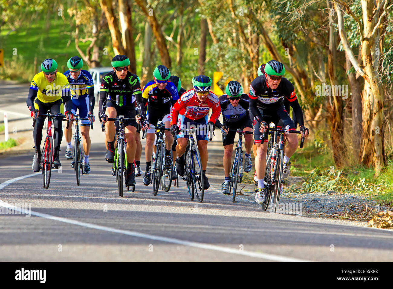 Südlichen Bezirke Veteranen und Ladies Cycling Club racing McLaren Wohnung Süd Australien Fleurieu Peninsula Stockfoto