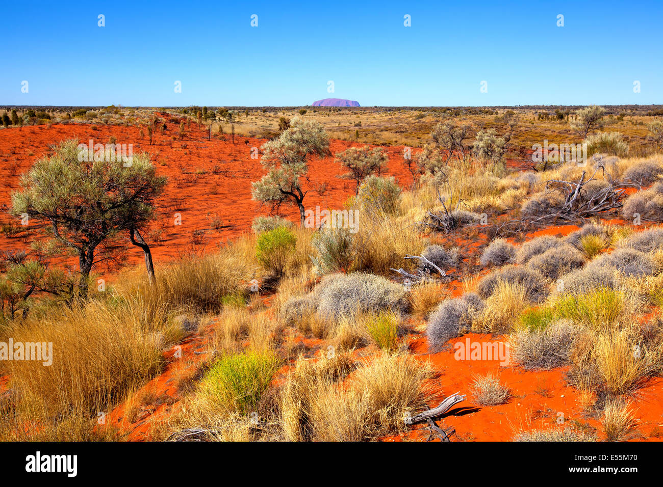 roten Felsen wandern Uluru Ayers zentrale Australien Northern Territory Australien australische Outback-Landschaft Stockfoto