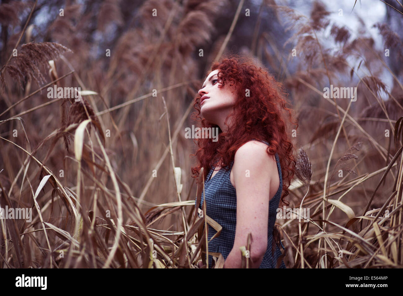 Frau mit langen roten Haaren stehen im Schilf, Porträt Stockfoto