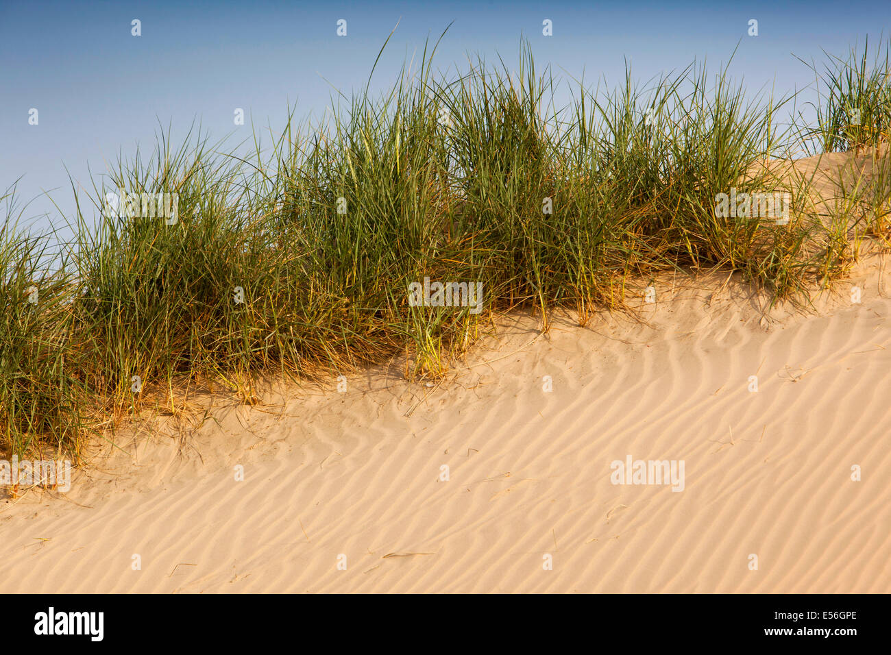 Großbritannien, England, East Sussex, Camber Sands Wellen auf Sanddünen Stockfoto