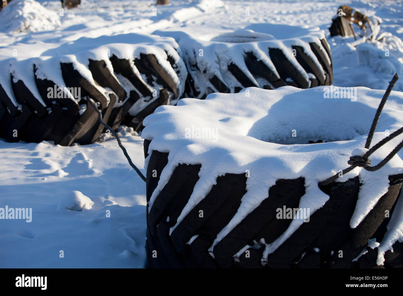 Schneebedeckte Traktorreifen Stockfoto