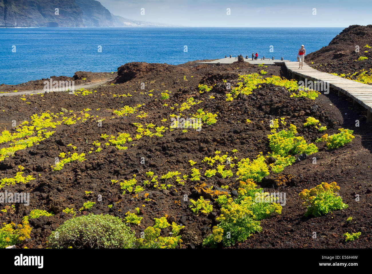 Punta Teno. Teneriffa, Kanarische Inseln, Atlantik, Spanien, Europa. Stockfoto