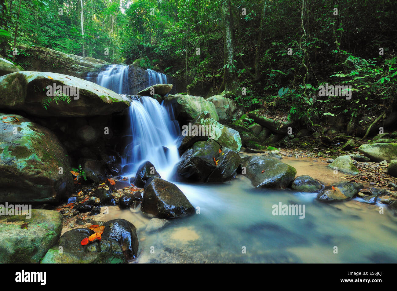 Wasserfall in einem Dschungel von Borneo, Kionsom Wasserfall Kota Kinabalu Sabah Malaysia Stockfoto