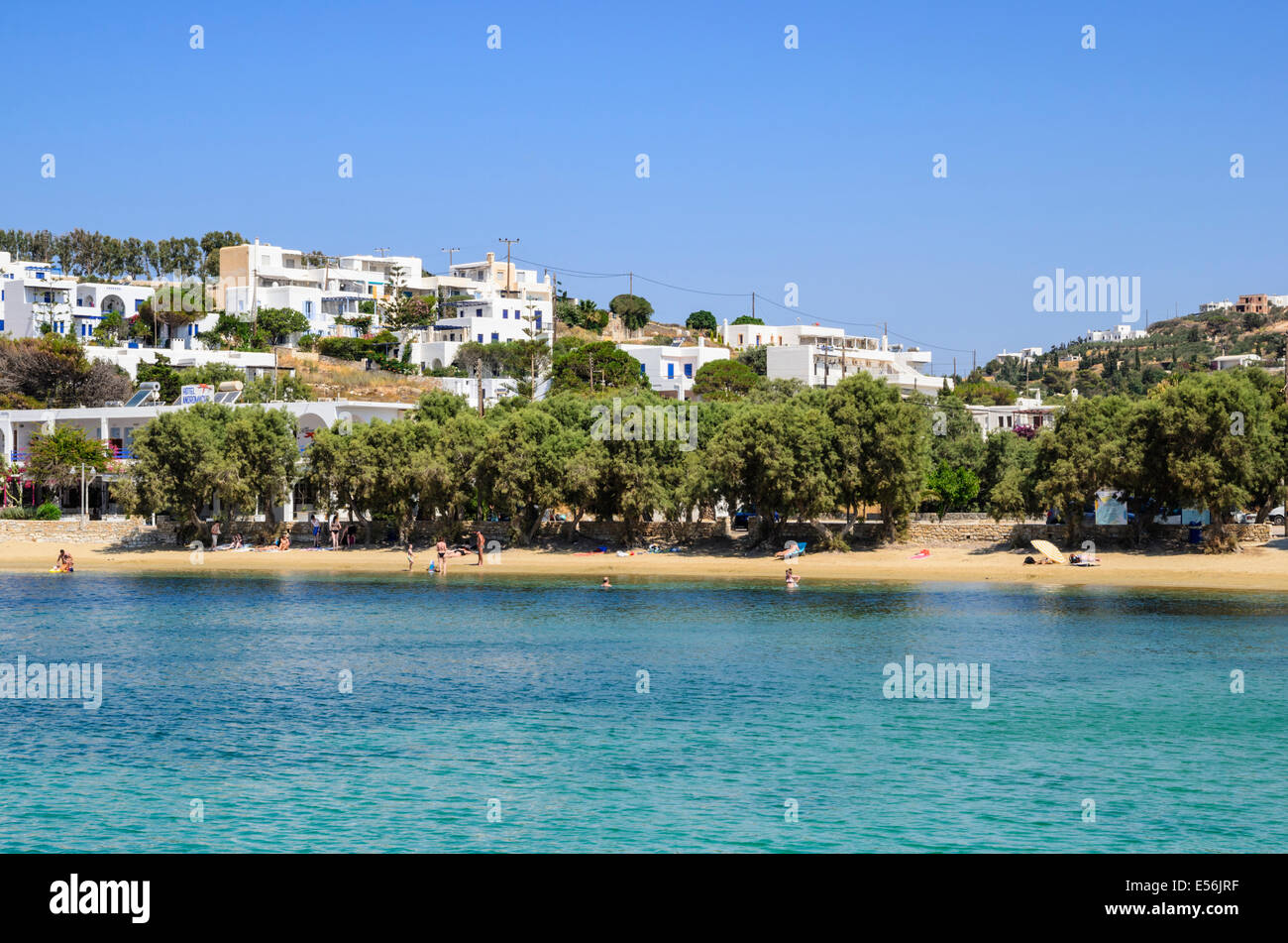 Menschen auf Baum beschattet Piso Livadi Strand, Insel Paros, Kykladen, Griechenland Stockfoto