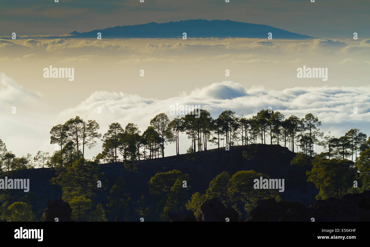 Wolken-Meer. Teide-Nationalpark. Teneriffa Insel, Kanaren, Atlantik, Spanien, Europa. Stockfoto