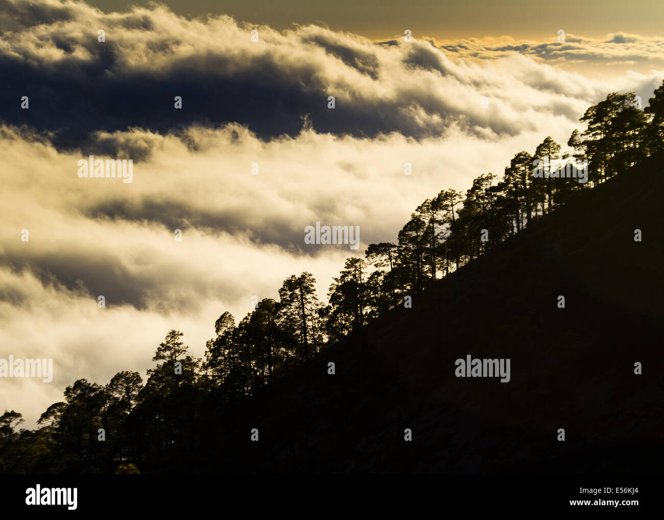 Wolken-Meer. Teide-Nationalpark. Teneriffa Insel, Kanaren, Atlantik, Spanien, Europa. Stockfoto