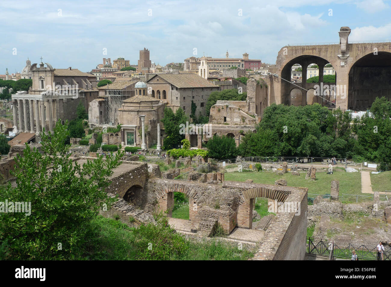 Das römische Reich-Forum in Rom, Italien. Stockfoto