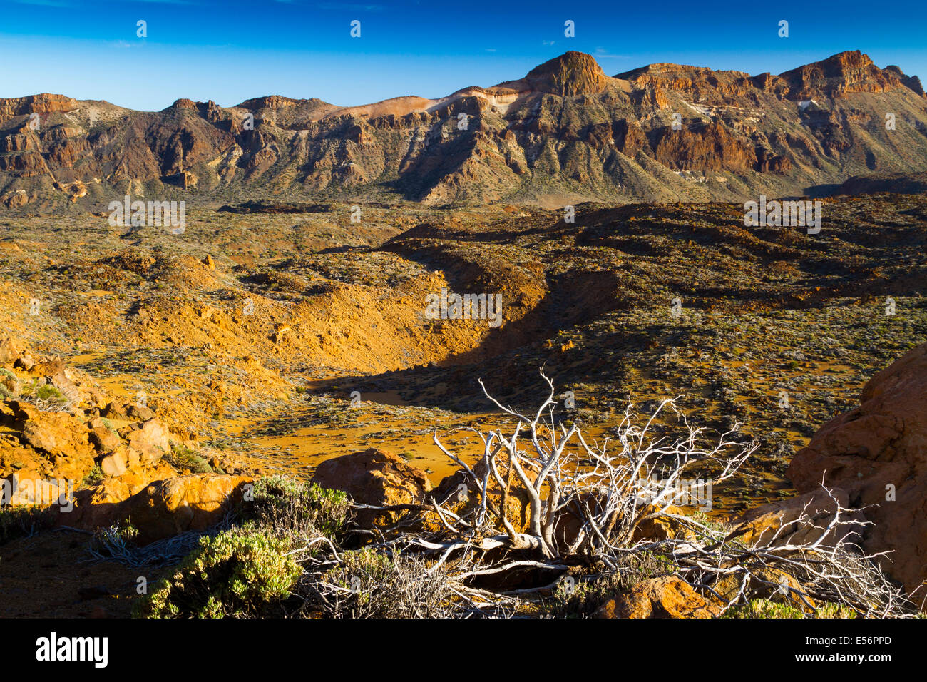 Krater. Teide-Nationalpark. Teneriffa, Kanarische Inseln, Atlantik, Spanien, Europa. Stockfoto