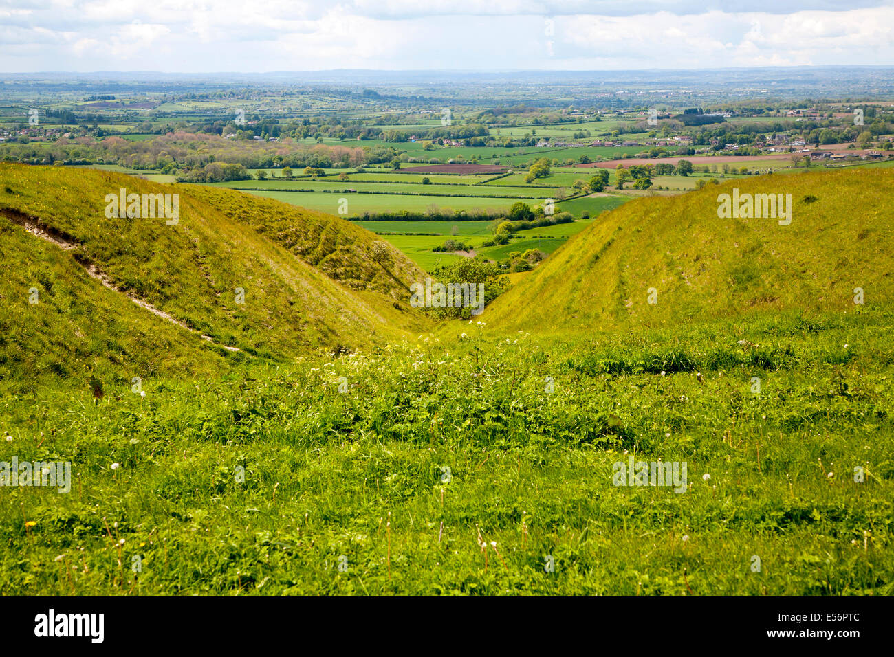 Kreide Böschung Hang mit trockenen Tälern Roundway Hill, ein besonderer Ort für die Tierwelt, in der Nähe von Devizes, Wiltshire, England Stockfoto