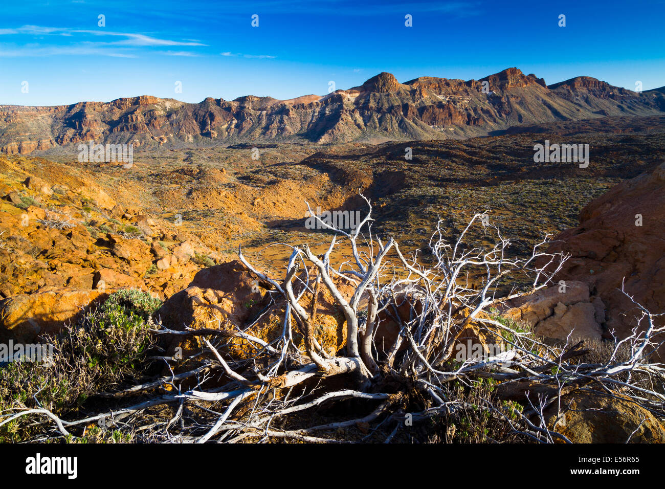 Krater. Teide-Nationalpark. Teneriffa, Kanarische Inseln, Atlantik, Spanien, Europa. Stockfoto