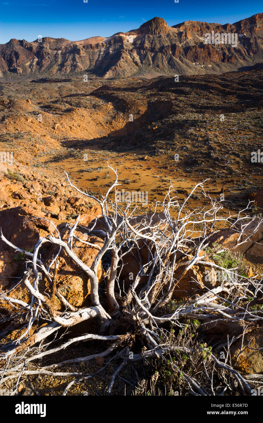Krater. Teide-Nationalpark. Teneriffa, Kanarische Inseln, Atlantik, Spanien, Europa. Stockfoto