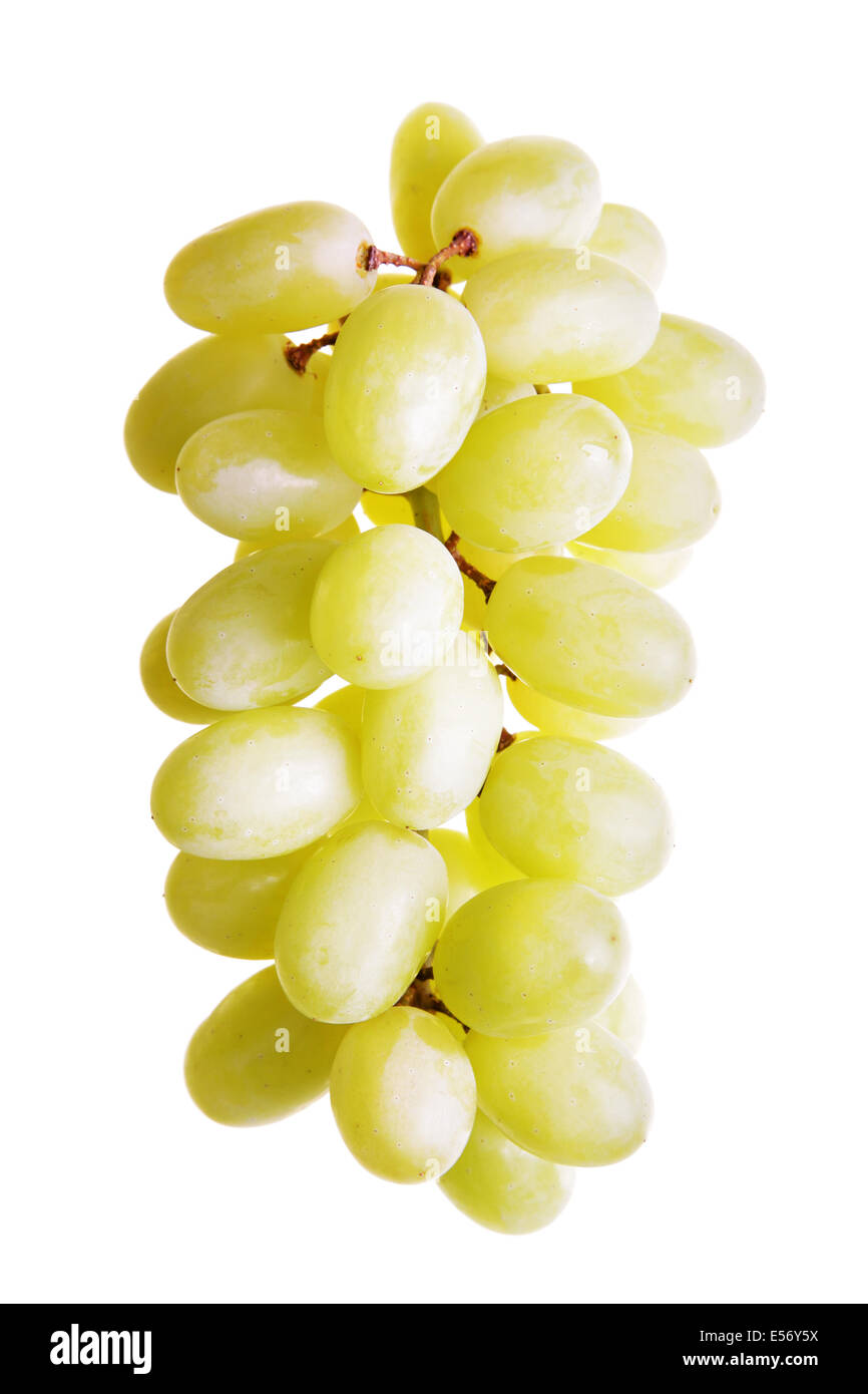 Weintraube isoliert auf einem weißen Hintergrund Stockfoto