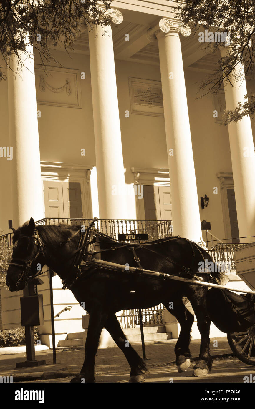 Pferd zeichnen eine Kutsche vor dem historischen, Christus, bischöfliche Kirche, gegründet im Jahr 1773 in Savannah, GA, USA Stockfoto