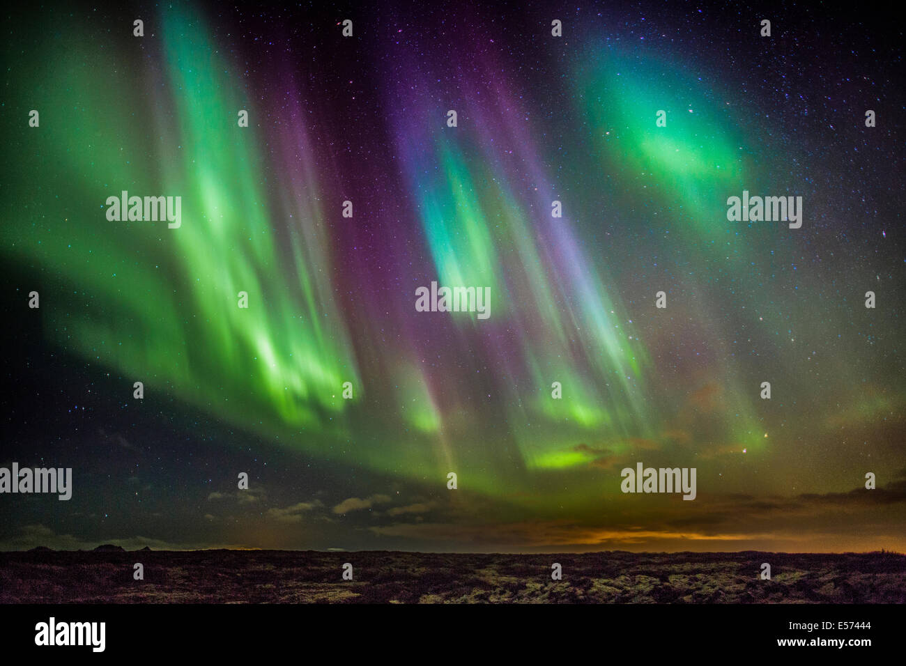 Aurora Borealis oder das Nordlicht, Alftanes, Island Stockfoto