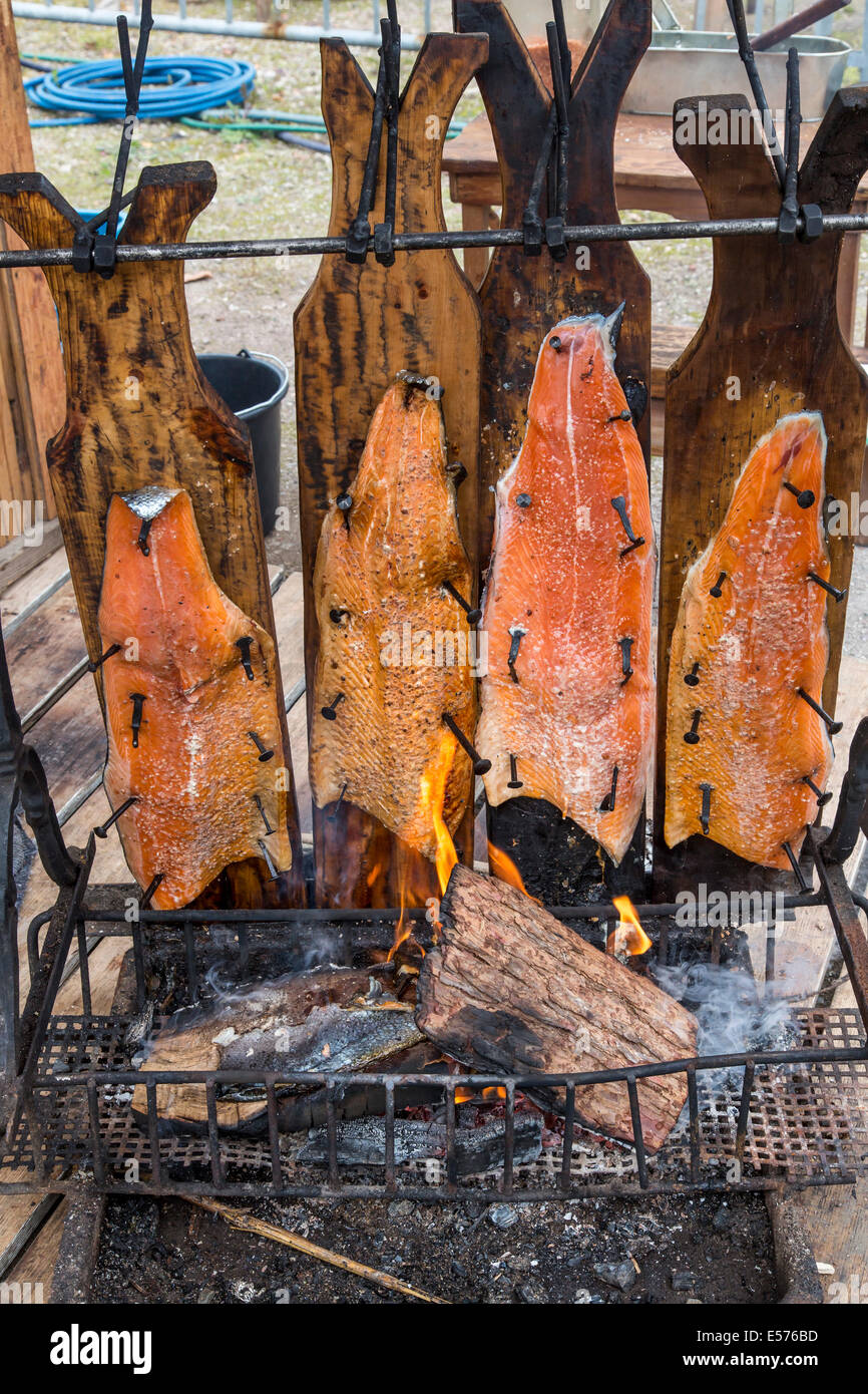 Lachse-Hälften werden in einem Holzfeuer geräuchert. Stockfoto
