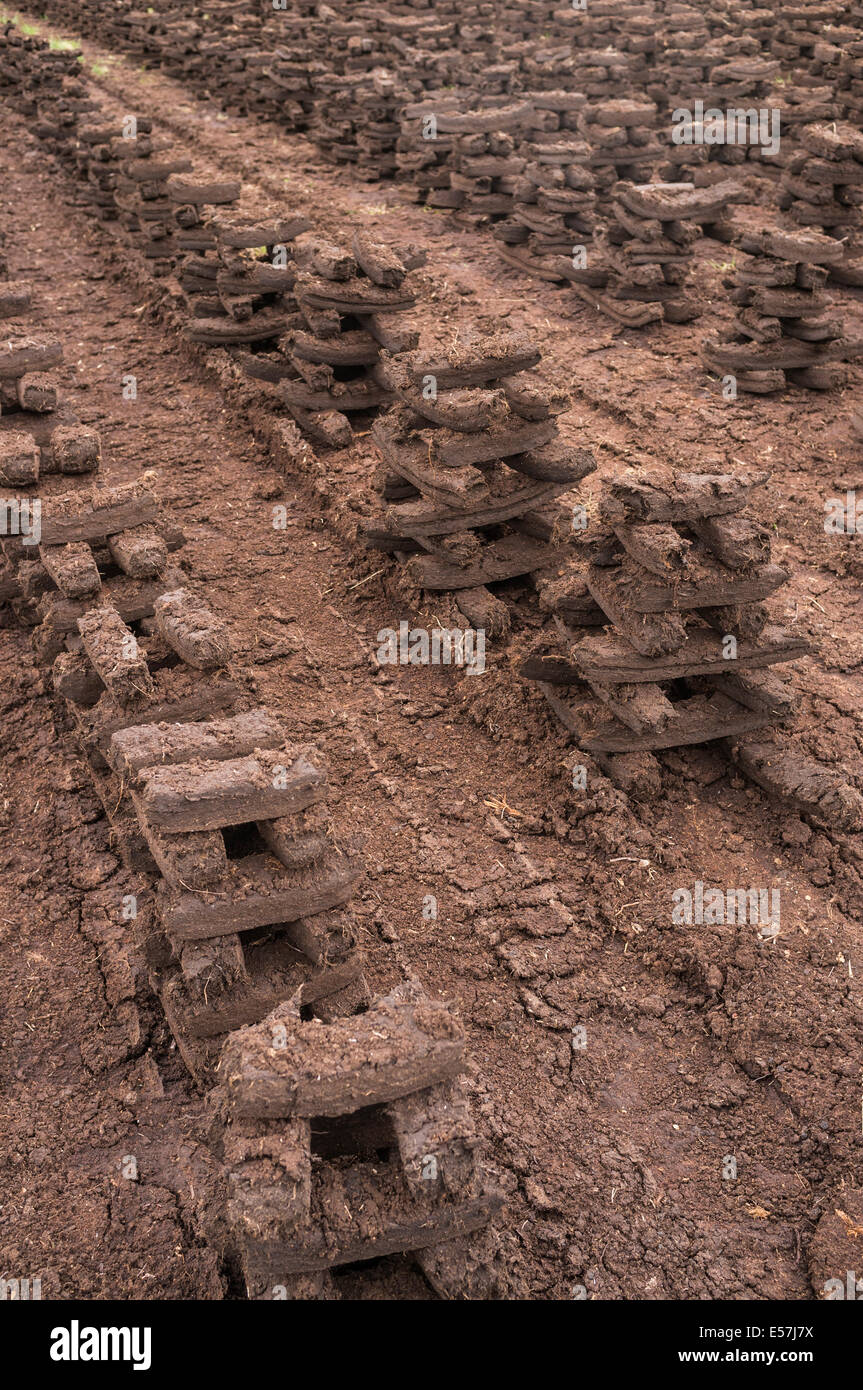 Rasen-Stacks footed zum Trocknen als Brennstoff zu Häusern, die in den Wintermonaten beheizt verbrannt werden. Moor von Allen, Kildare, Irland. Stockfoto