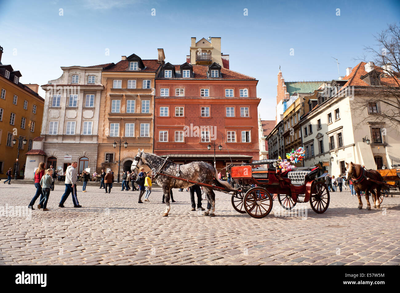 Pferd Kalesche stehend arbeiten Stockfoto