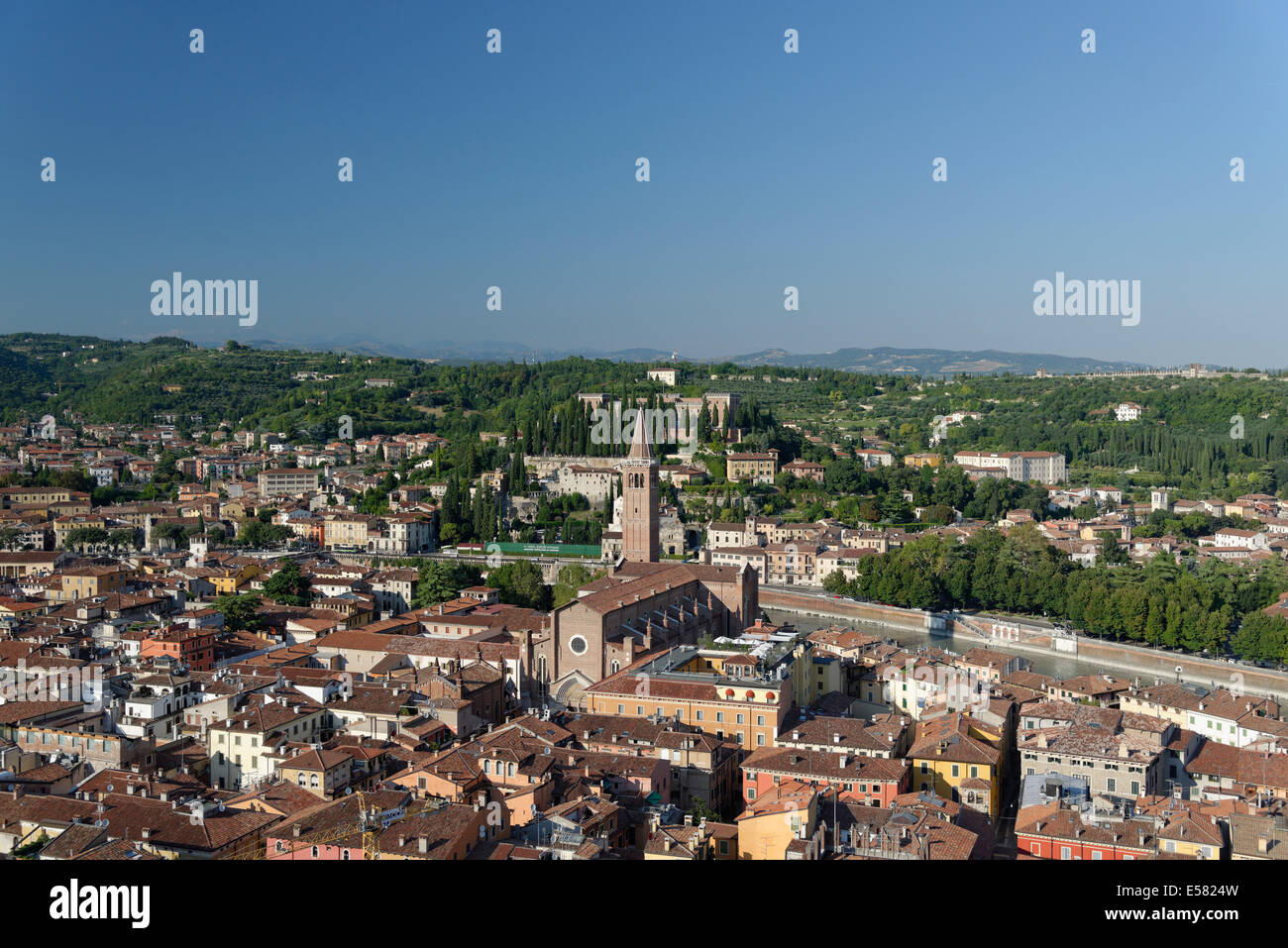 Blick vom Torre Dei Lamberti über der Stadt mit der Kathedrale von Verona, Verona, Venetien, Italien Stockfoto