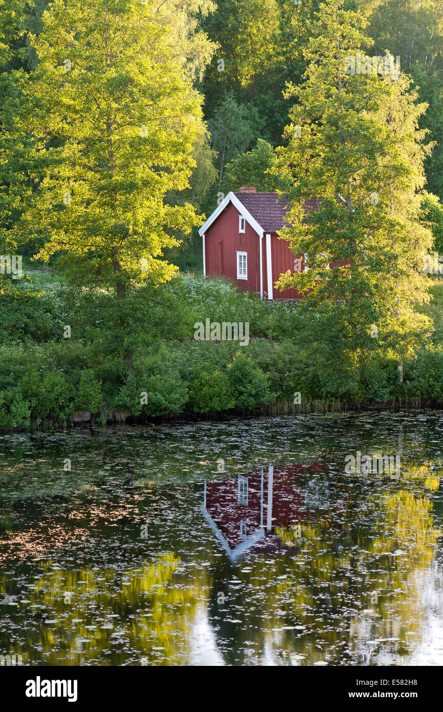 Rote und weiße Haus an einem See zwischen Birken, Abendlicht, Rumskulla, Smaland, Schweden Stockfoto