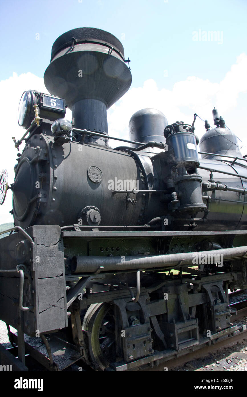 Cass Scenic Railroad State Park, West Virginia, USA Stockfoto