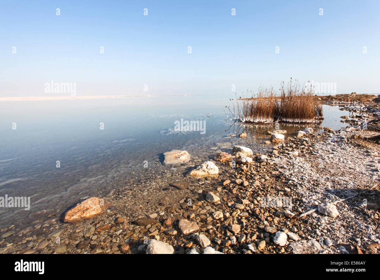 Israel, Totes Meer Salz Crystalization verursacht durch Wasserverdunstung Stockfoto