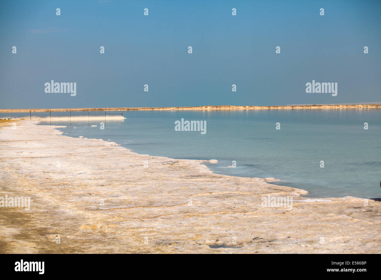 Israel, Totes Meer Salz Crystalization verursacht durch Wasserverdunstung Stockfoto