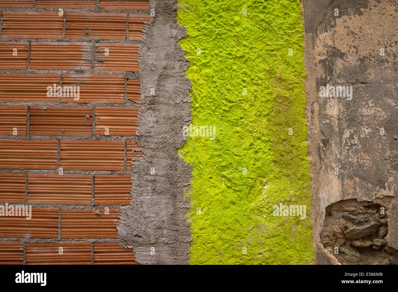 Abstrakt / detaillierte schließen Schuss einer Wand mit roten Ziegeln, Beton/Zement und lebendige lindgrün malen! Stockfoto