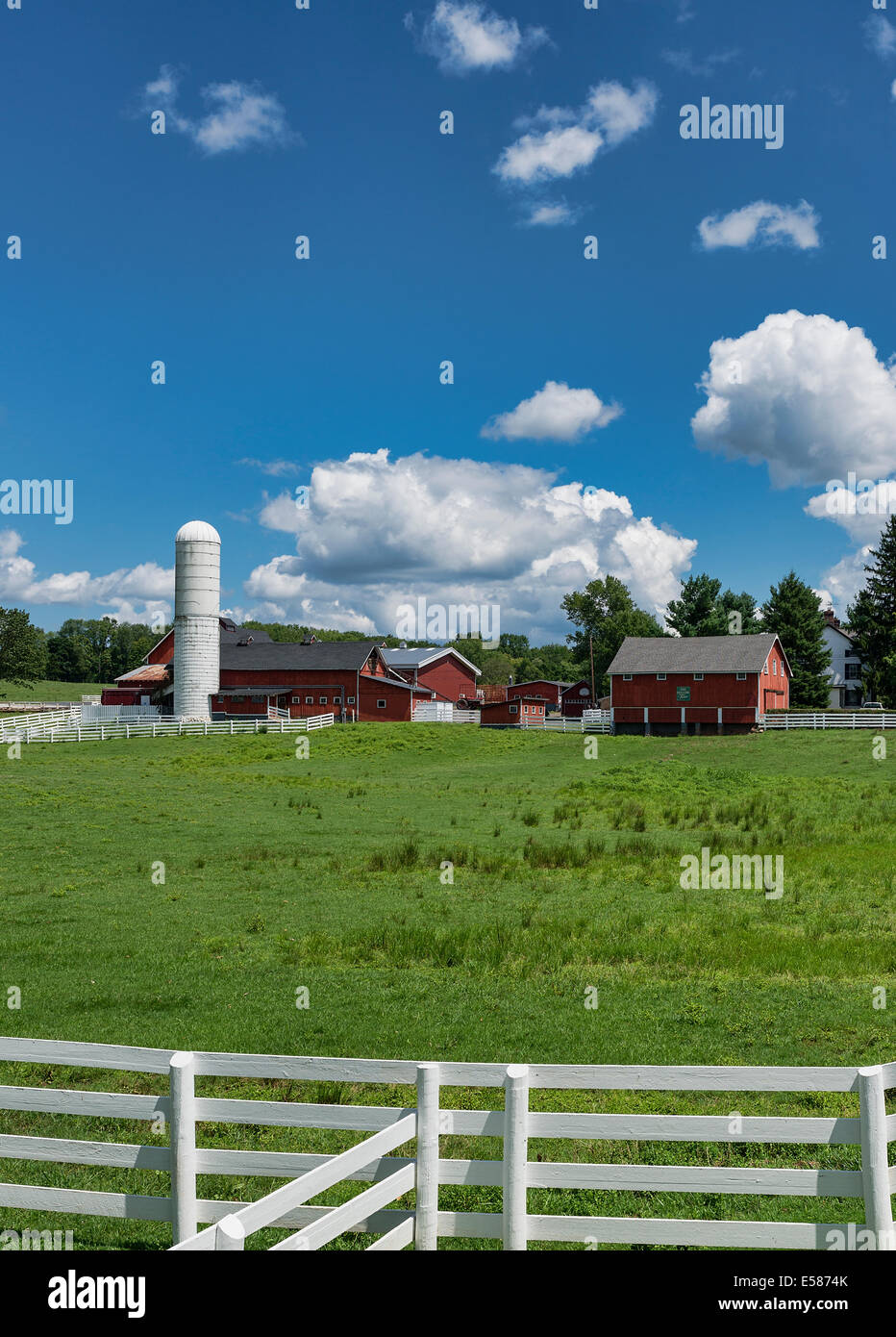Malerische Pferdefarm im ländlichen Gladstone, New Jersey, USA Stockfoto