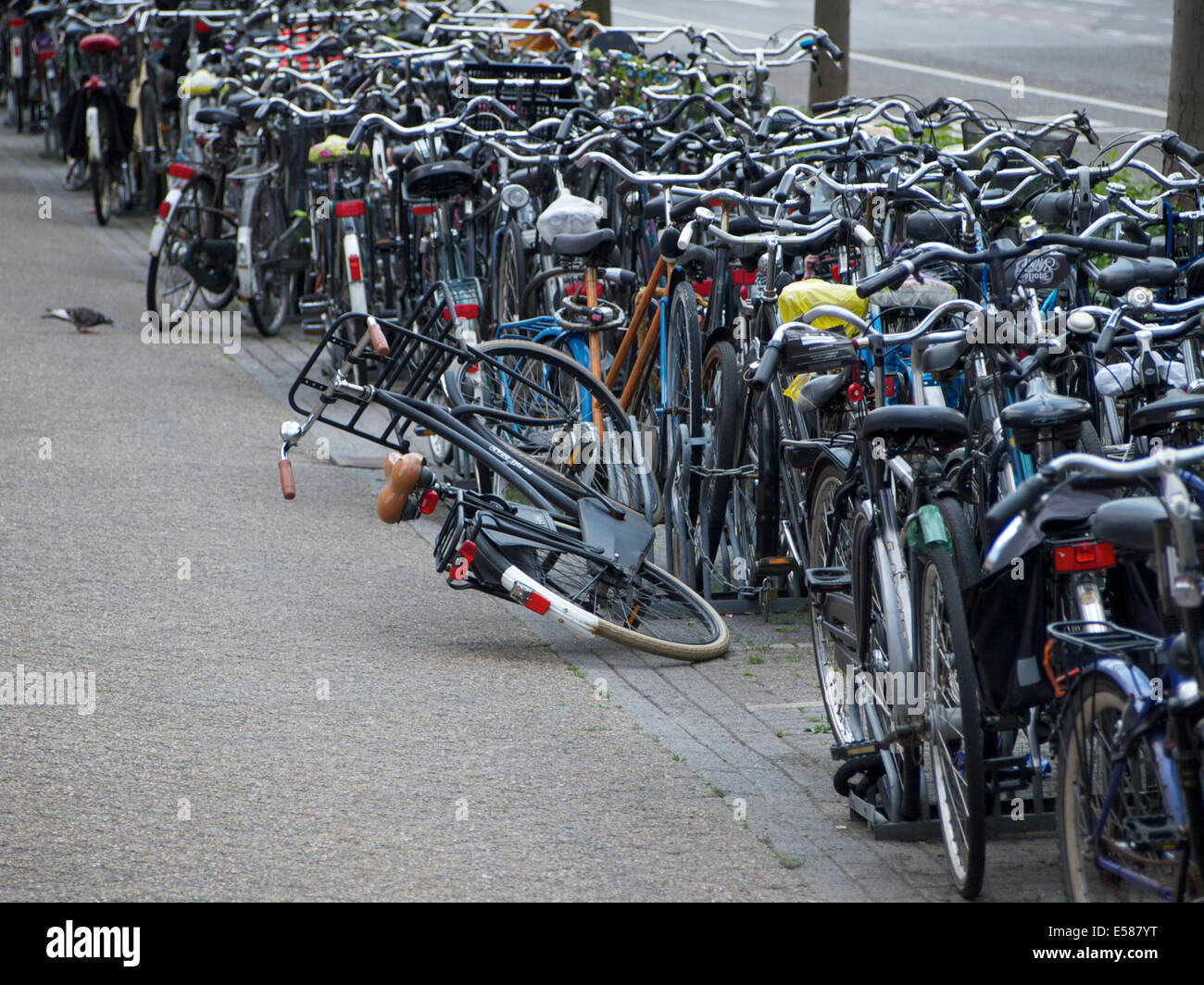 Wenn Sie Ihr Fahrrad auf einem öffentlichen Parkplatz lassen es immer gibt eine Chance finden Sie es mit einem gebogenen Rad wenn Sie zurückkehren. Breda, Stockfoto